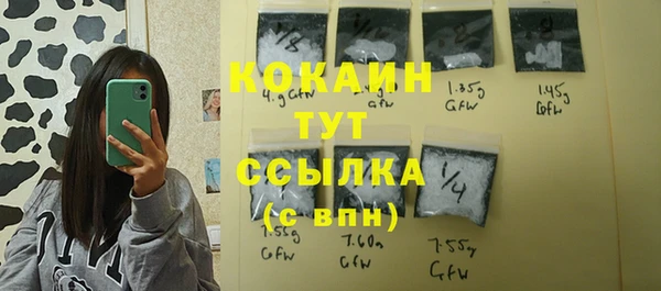 круглые Гусев