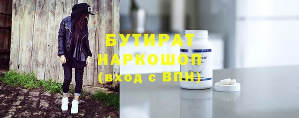 шишки Гусиноозёрск