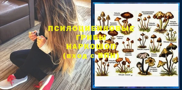 крисы Гусь-Хрустальный