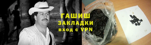 шишки Гусиноозёрск