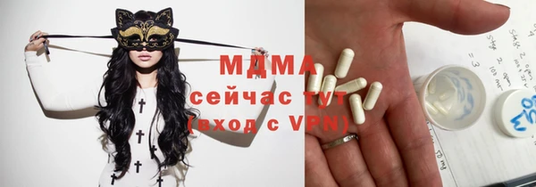 шишки Гусиноозёрск
