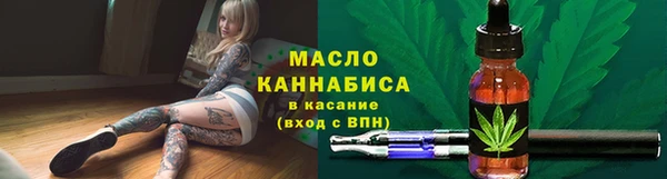 шишки Гусиноозёрск