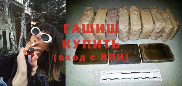 шишки Гусиноозёрск