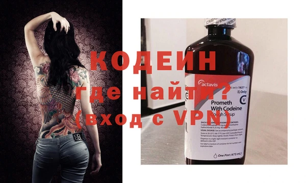 круглые Гусев