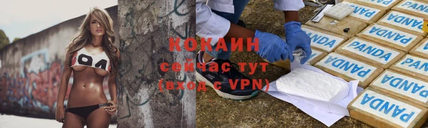 шишки Гусиноозёрск