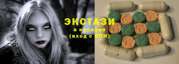 шишки Гусиноозёрск