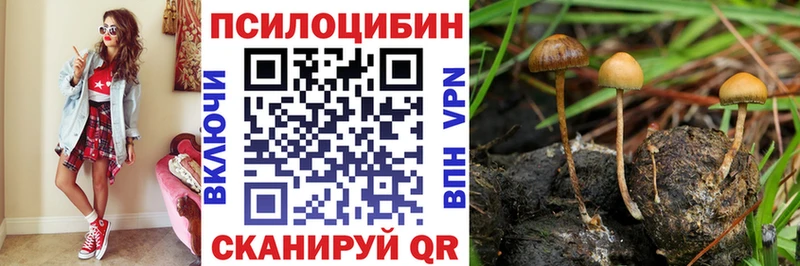 Галлюциногенные грибы Psilocybine cubensis  kraken зеркало  Джанкой 
