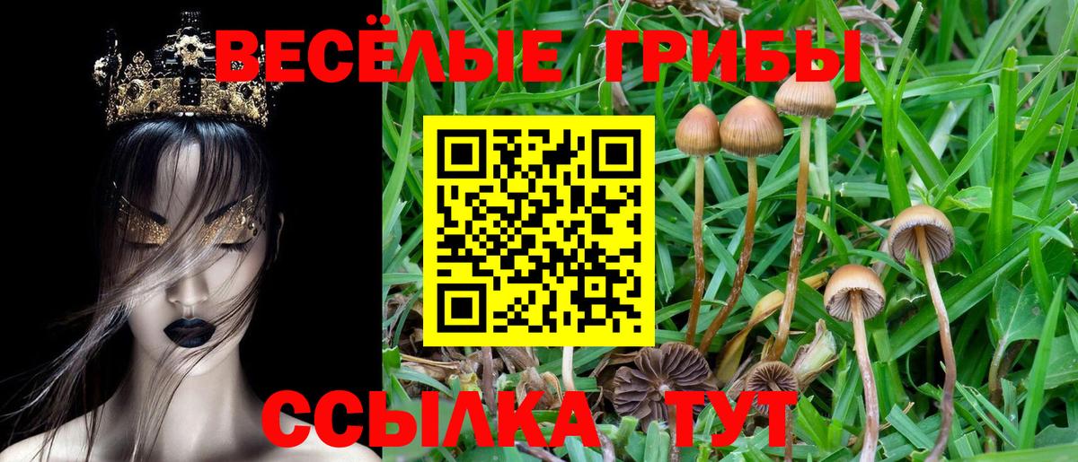 даркнет сайт  Джанкой  Галлюциногенные грибы Psilocybine cubensis 