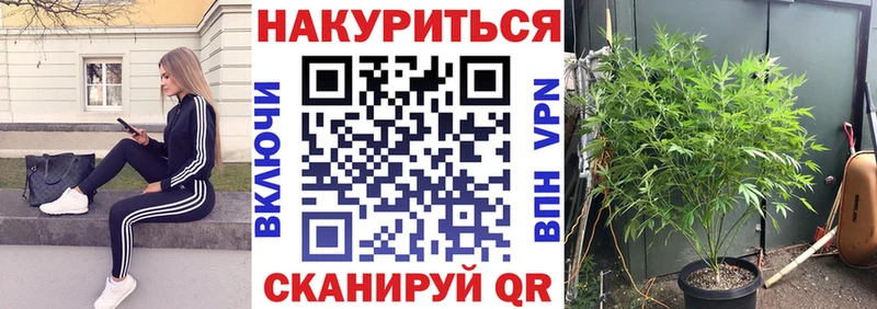 как найти закладки Джанкой Канабис SATIVA & INDICA